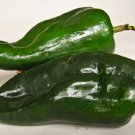 12 US SEEDS POBLANO CHILI PEPPER