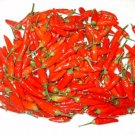 20 US SEEDS TABASCO PEPPER