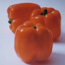 ORANGE SWEET HORIZON PEPPER 25 US SEEDS