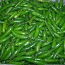 20 US SEEDS SERRANO PEPPER PICO DE GALLO