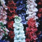 GIANT IMPERIAL MIX LARKSPUR 50 US SEEDS