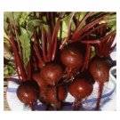 25 US SEEDS FRESH HEIRLOOM DETROIT DARK RED BEET