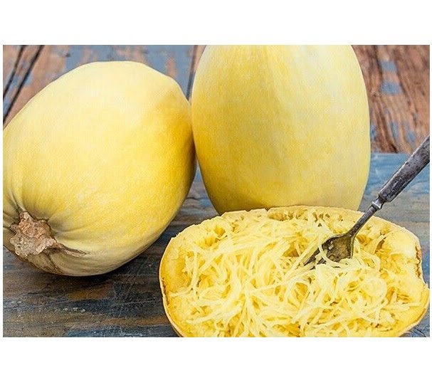 VEGETABLE SPAGHETTI SQUASH 5 US SEEDS