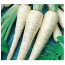 100 US SEEDS FRESH PARSNIP HOLLOW CROWN