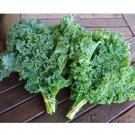 KALE LETTUCE VEGETABLE 15 US SEEDS