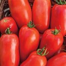 ROMA TOMATO VEGETABLE 10 US SEEDS