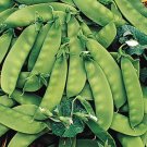 1000 US Seeds Oregon Sugar Pod II Peas