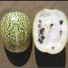 Shark Fin Melon Chilacayote Fig Leaved Malabar 5 US Seeds