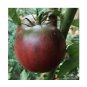 Black From Tula Tomato Heirloom Rare purple Russian 3 US Seeds