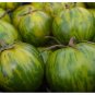 Green Zebra Tomato Rare Beautiful Color Heirloom 3 US Seeds