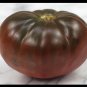 Brandywine Black Tomato Rare Beautiful Color 3 US Seeds