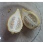 Citron Citrus Medica Etrog Esrog Rare Exotic Fruit Unique Religious 5 US Seeds