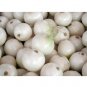 150 US Seeds Crystal White Wax Pearl Onion