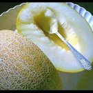 15 US Seeds Ein Dor Melon Fragrant Tropical hint of Pineapple Banana