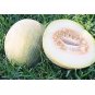 15 US Seeds Ein Dor Melon Fragrant Tropical hint of Pineapple Banana