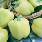 White Cloud Sweet Bell Pepper Rare color 25 US Seeds