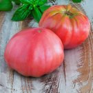 Brandywine Pink Tomato 30 US Seeds