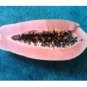 15 US Seeds Big Fruit Meradol Caribbean Red Sunrise Papaya Plant