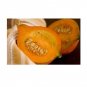 10 US Seeds Golden Hubbard Winter Squash