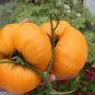 25 US Seeds Kelloggs Breakfast Tomato