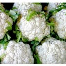 Cauliflower Snowball 250 US Seeds