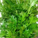 100 US Seeds Mizuna Mustard