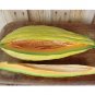 rare Banana melon 20 US seeds