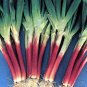Red Beard Japanese Bunching Onion Rare violet stalk scallion 25 US seeds