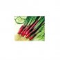 Red Beard Japanese Bunching Onion Rare violet stalk scallion 25 US seeds