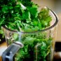 100 US Seeds Coriander CILANTRO Microgreens Heirloom Chinese Parsley