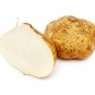 5 US Seeds Jicama Mexican Yam Bean Pachyrhizus Erosus Rare