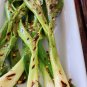 100 US Seeds Green Scallions White Lisbon Bunching Onion