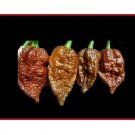 15 US seeds Hot Pepper Chocolate Devils Brain super RARE
