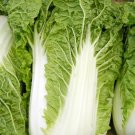Greens Michihili Chinese Cabbage Pak Choi 200 US Seeds