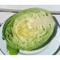 Golden Acre Cabbage Green tender Leaves 200 US seeds