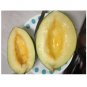 100 US SEEDS PIEL DE SAPO MELON Santa claus Toadskin melon