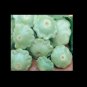 Lunar Eclipse Patty Pan Scallops Summer Squash F1 Hybrid 10 US Seeds