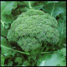 CALABRESE Broccoli Green sprouting 500 US SEEDS