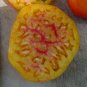 20 US seeds Big Rainbow Tomato