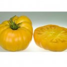 Brandywine YELLOW Tomato Rare 200 US Seeds