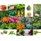 12400 US Seeds 24 Varieties Non GMO Heirloom Vegetables