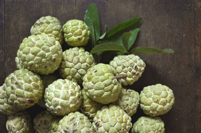 10 US Seeds Tree Custard Sugar Apple Annona Squamosa Non GMO Tropical Fruit Sweet