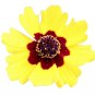 1000 US Seeds Plains Coreopsis Wildflower Native Tickseed