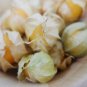 100 US Seeds Ground Cherry Fruit  Pineapple Cape Gooseberry Physalis Ixocarpa