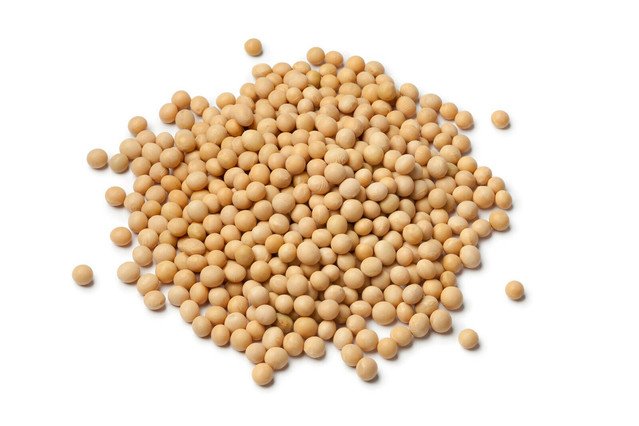 NON GMO PURE Soybean Soy Bean Microgreen Sprout Planting 100 US Seeds