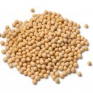 NON GMO PURE Soybean Soy Bean Microgreen Sprout Planting 100 US Seeds