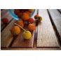 Arbutus unedo Strawberry Tree Evergreen 20 US seeds