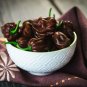 Capsicum chinense Chocolate Habanero 20 US seeds