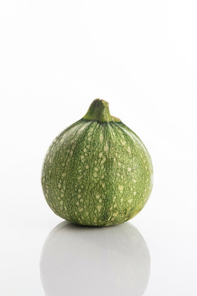 Non GMO Heirloom Vegetable Round Zucchini Summer Squash 50 US Seeds