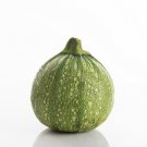 Non GMO Heirloom Vegetable Round Zucchini Summer Squash 50 US Seeds